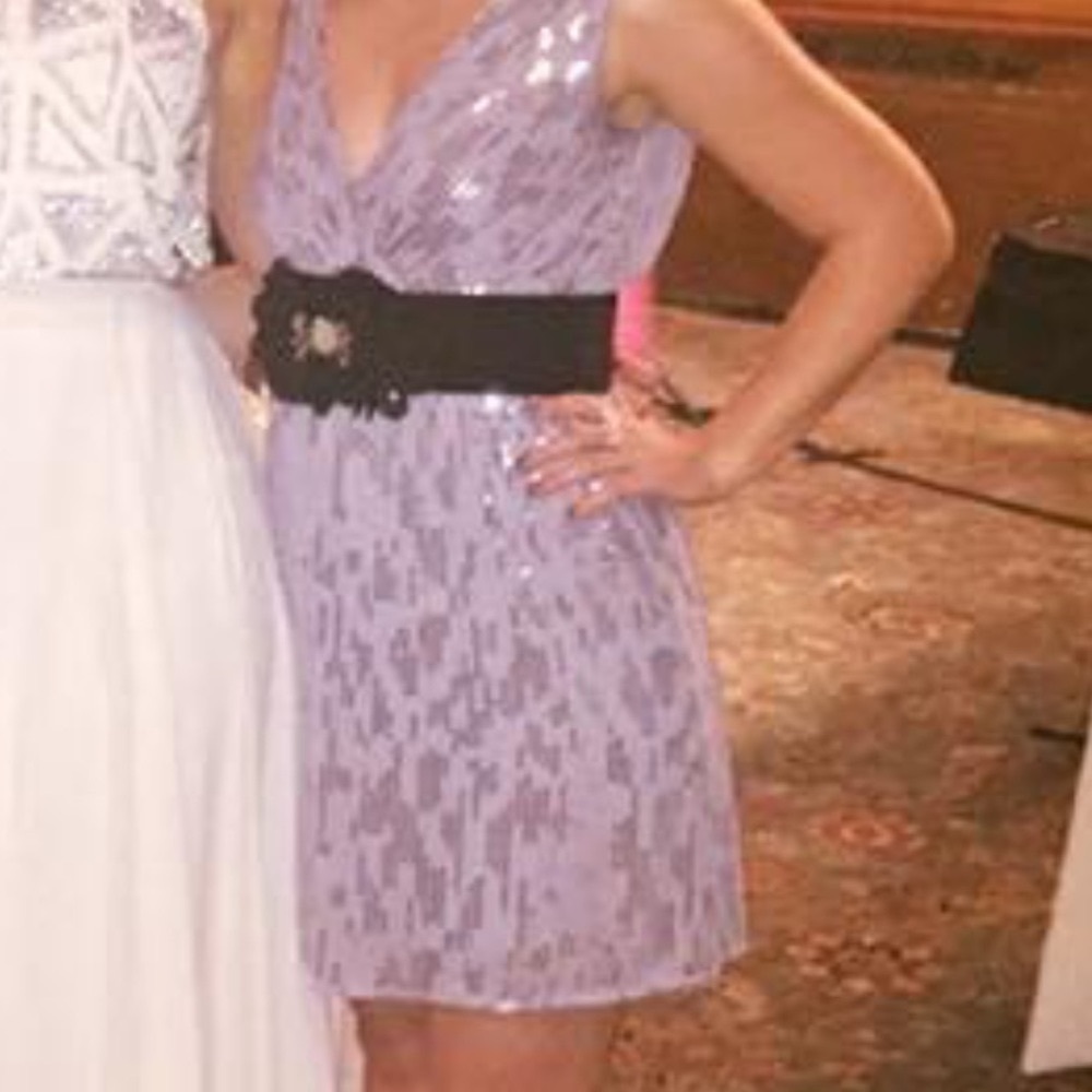 Express Silver Sequined Party Dress